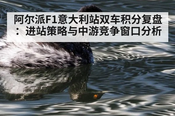 阿尔派F1意大利站双车积分复盘：进站策略与中游竞争窗口分析